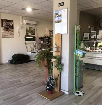 Foto annuncio 8