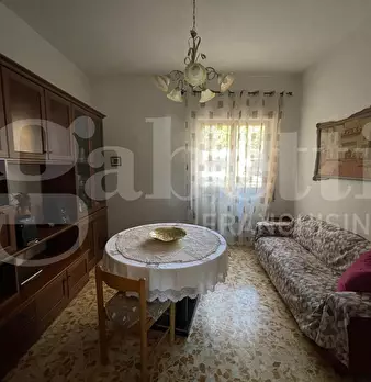 Foto annuncio 8