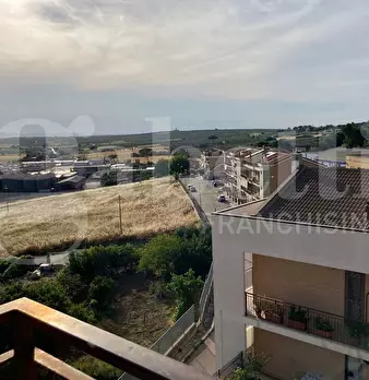 Foto annuncio 12