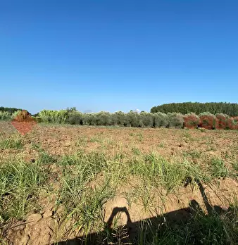Foto annuncio 9