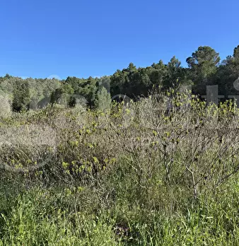 Foto annuncio 27