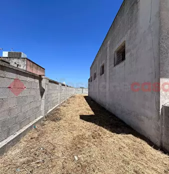 Foto annuncio 12