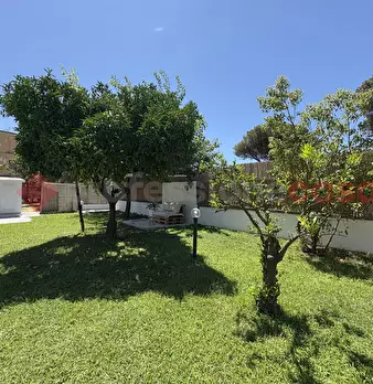 Foto annuncio 11