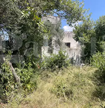 Foto annuncio 18
