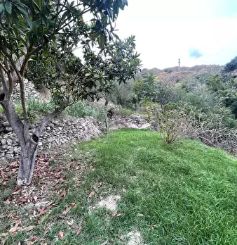 Foto annuncio 42