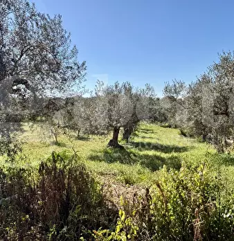 Foto annuncio 29