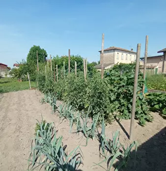 Foto annuncio 20