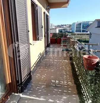 Foto annuncio 1