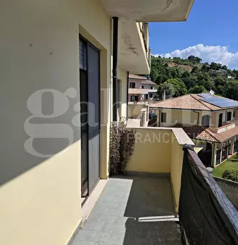 Foto annuncio 26