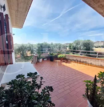Foto annuncio 5