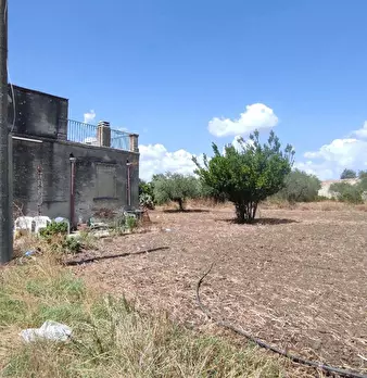 Foto annuncio 8