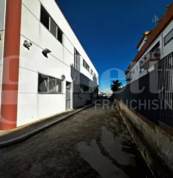 Foto annuncio 4