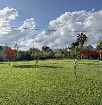Foto annuncio 44