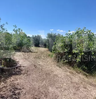 Foto annuncio 4
