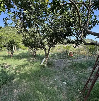 Foto annuncio 10