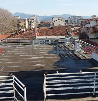 Foto annuncio 44