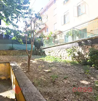 Foto annuncio 13