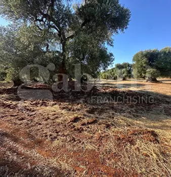 Foto annuncio 8