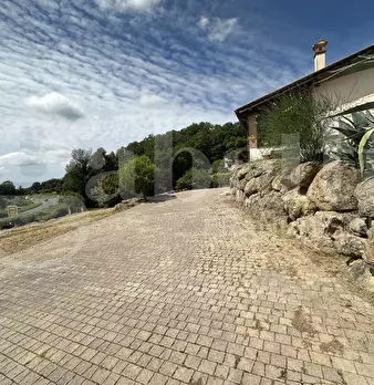 Foto annuncio 10