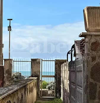 Foto annuncio 22