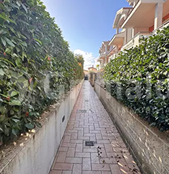 Foto annuncio 19