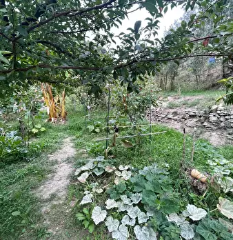 Foto annuncio 35