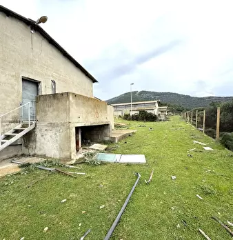 Foto annuncio 6