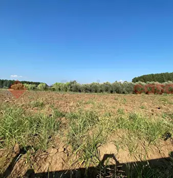 Foto annuncio 18