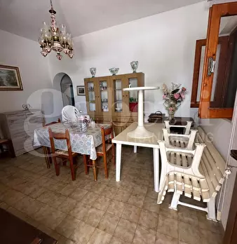 Foto annuncio 7