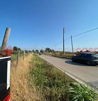 Foto annuncio 26