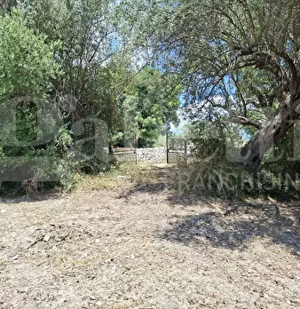 Foto annuncio 24