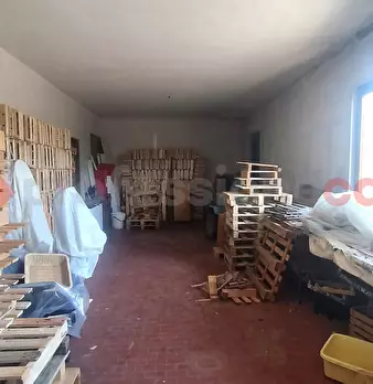 Foto annuncio 22