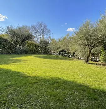 Foto annuncio 8