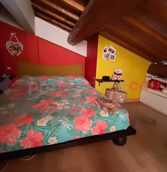 Foto annuncio 15