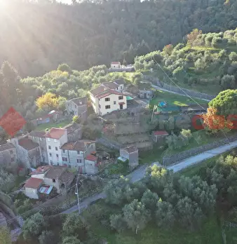 Foto annuncio 45