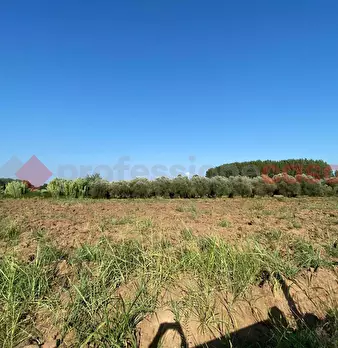 Foto annuncio 20