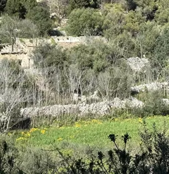 Foto annuncio 4
