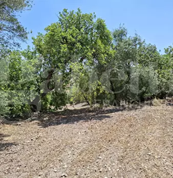 Foto annuncio 23