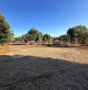 Foto annuncio 18