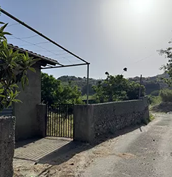 Foto annuncio 21