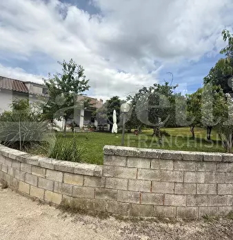 Foto annuncio 47