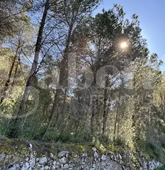 Foto annuncio 18