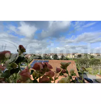 Foto annuncio 31