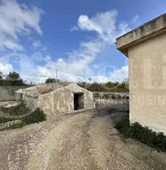Foto annuncio 9