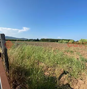 Foto annuncio 32