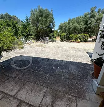 Foto annuncio 48