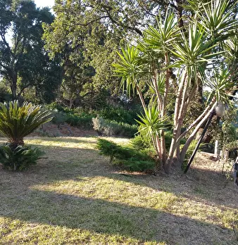 Foto annuncio 40