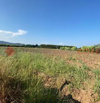 Foto annuncio 21