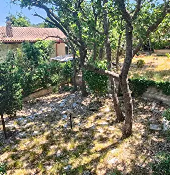 Foto annuncio 19