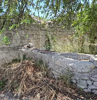Foto annuncio 17
